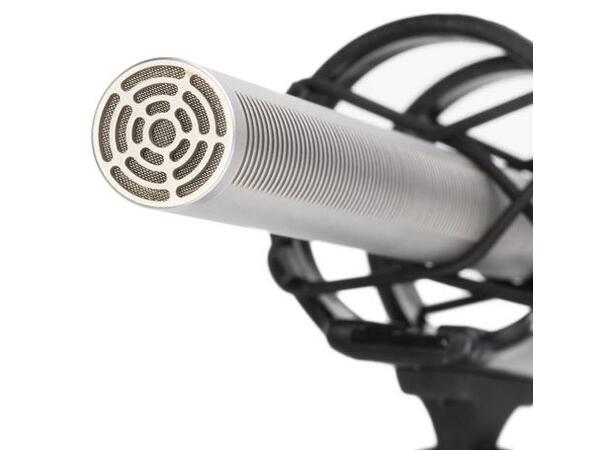 Røde NTG-3 Mikrofon Sølv Pro shotgun-mikrofon med lav egenstøy